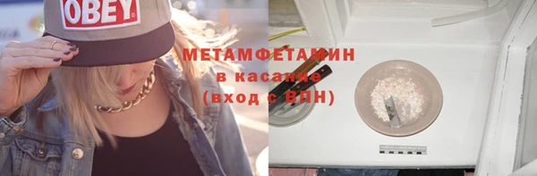 сатива Сатка